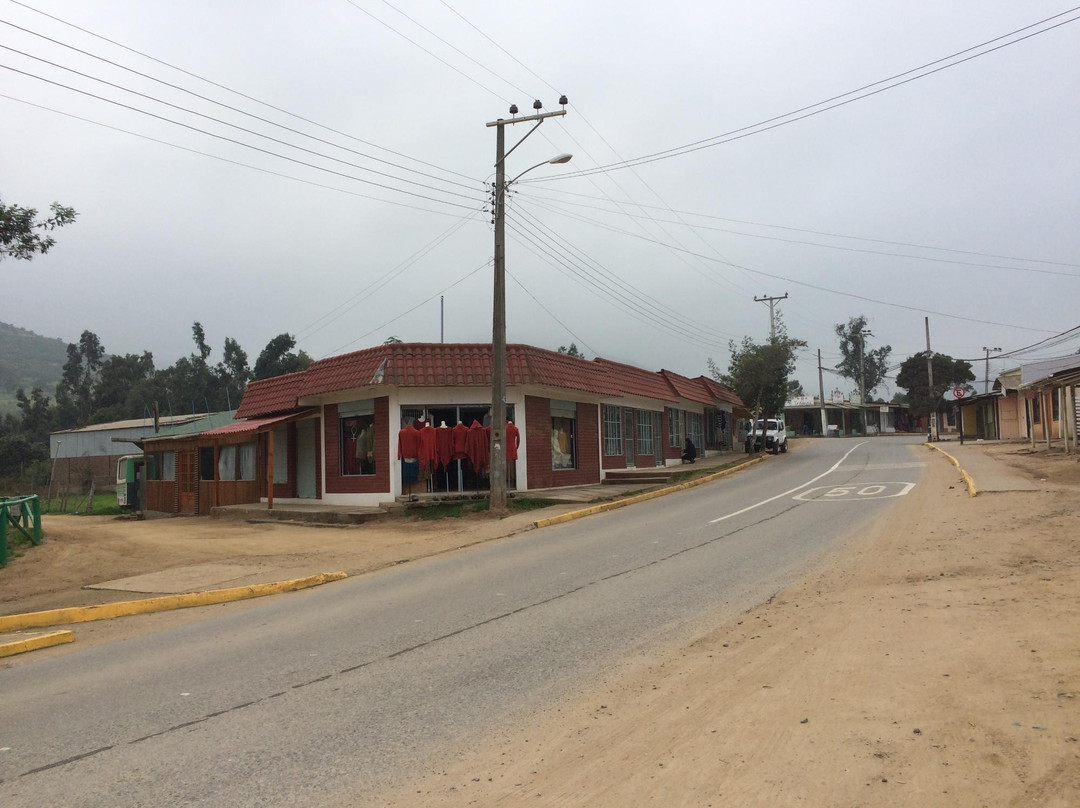 Museo la Ligua-La Ligua必去景点