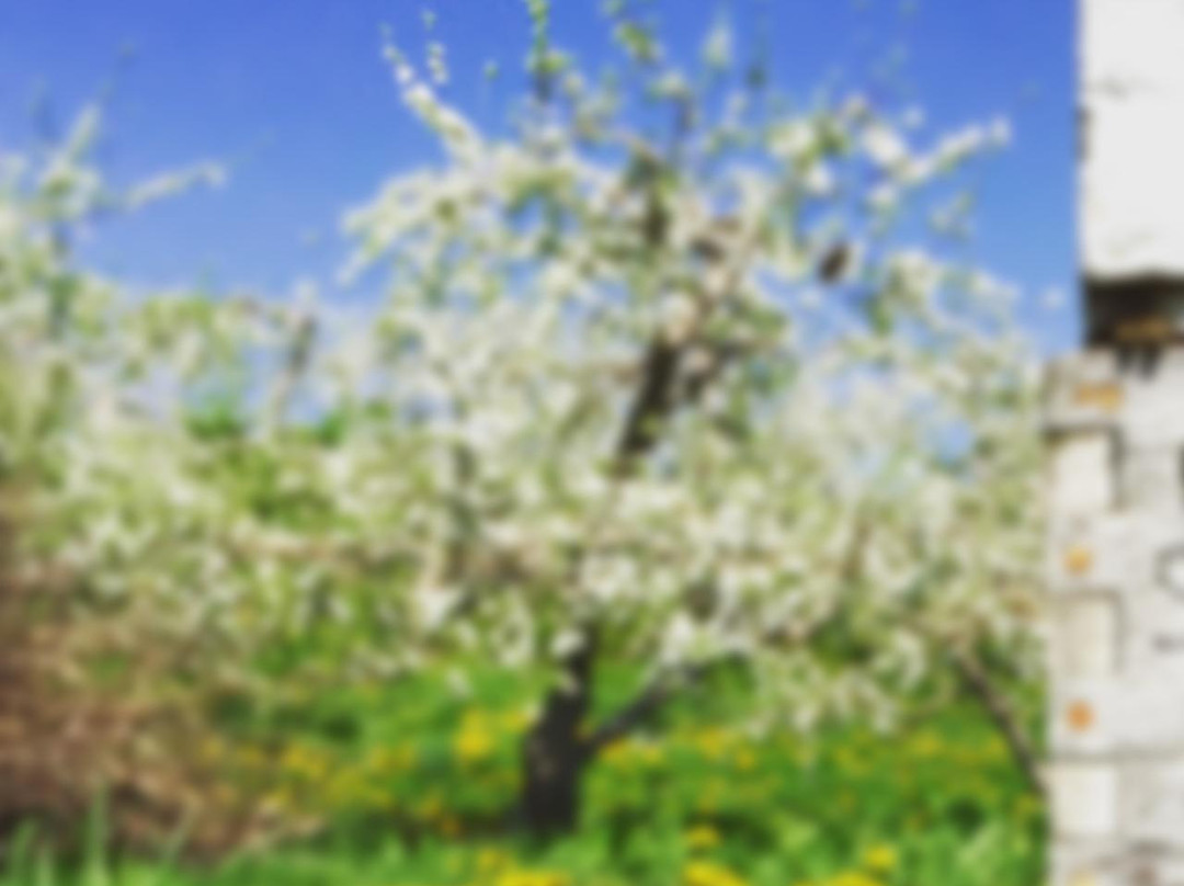 Green Mountain Orchards-普特尼必去景点