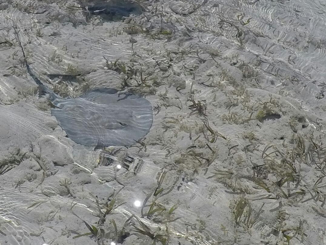 Rachel's Bubble Bath-Compass Cay必去景点