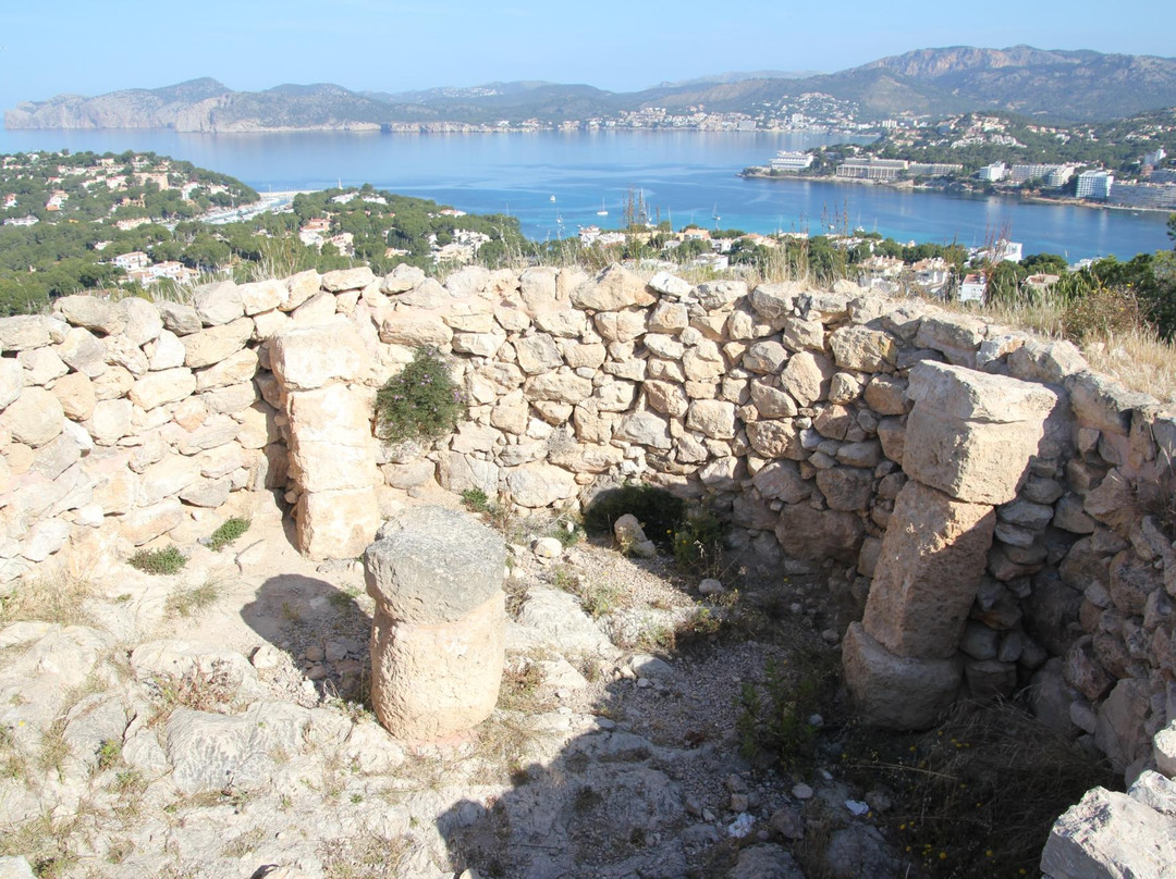 Parque Arqueologico Puig de Sa Morisca景点图片