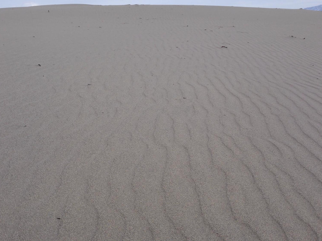 Charskiye Sands-Novaya Chara必去景点