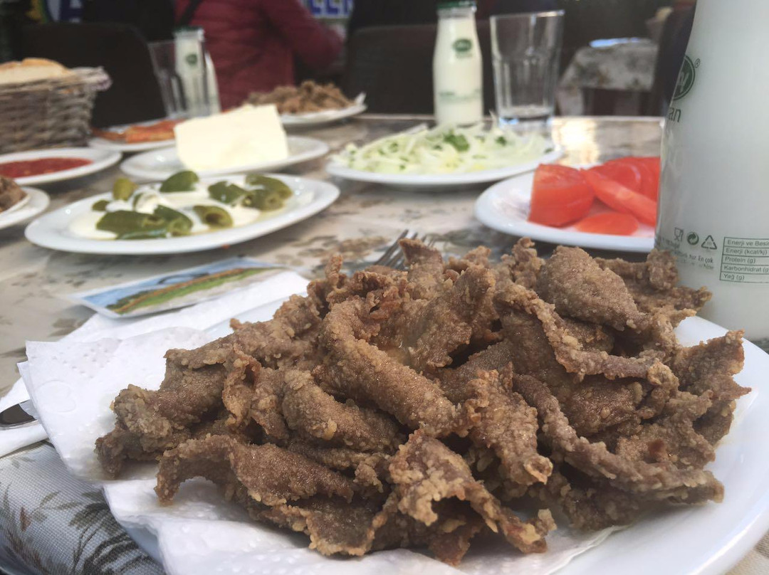 Oz Akgunler Edirne Cigercisi