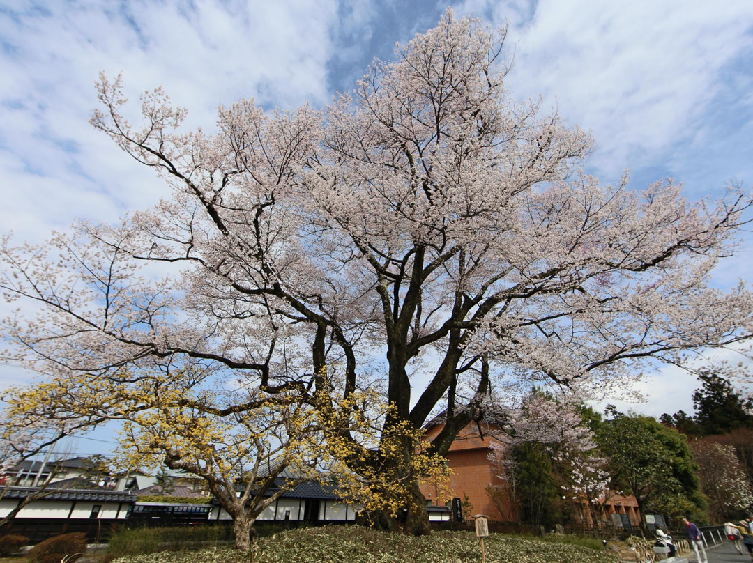 Iida City Museum of Art-饭田市必去景点