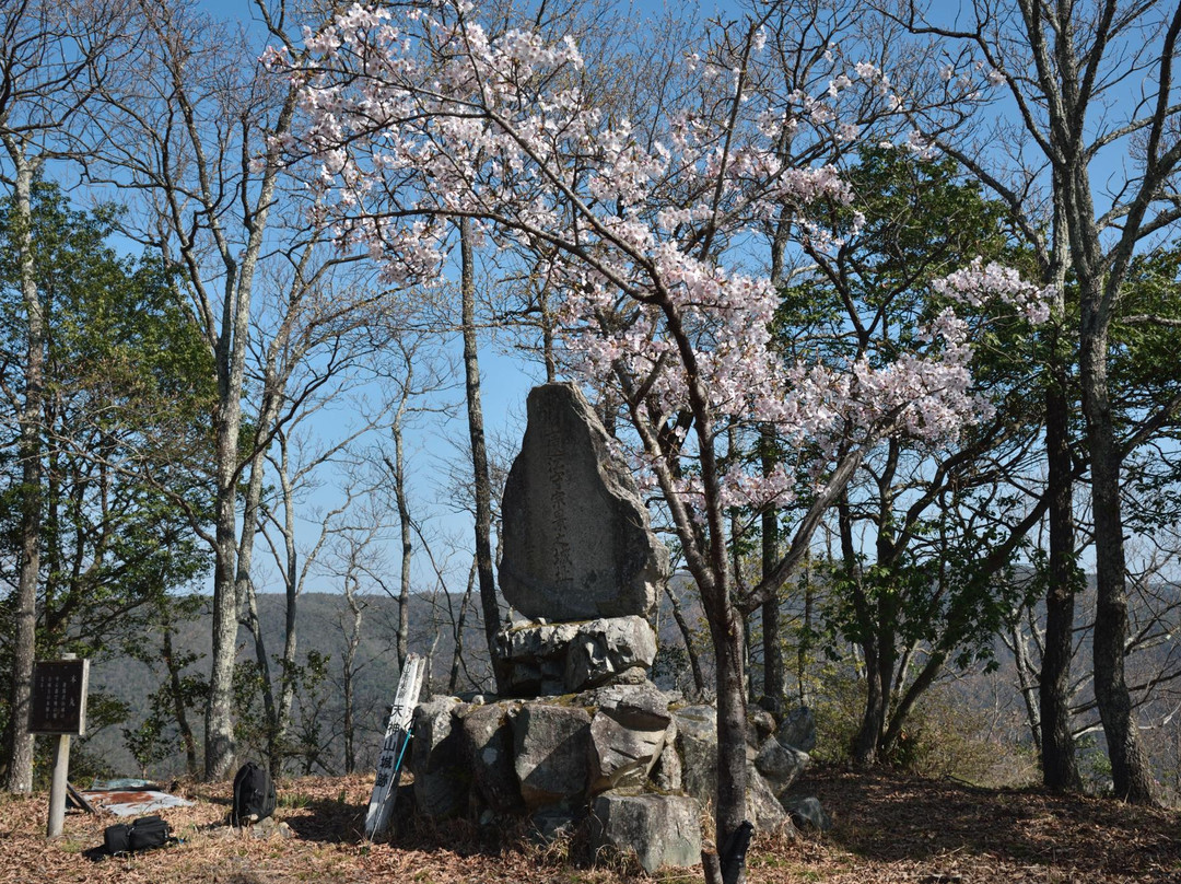 Wakeutsukushii Mori景点图片