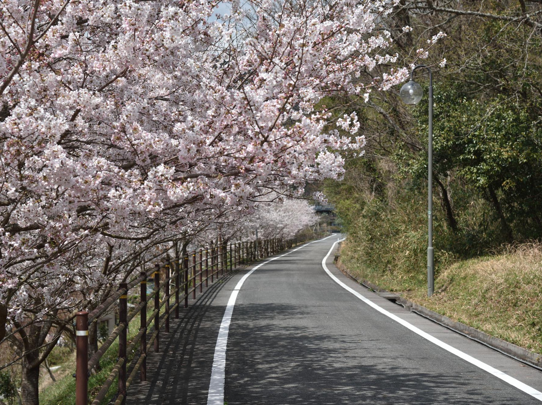 Katatetsu Roman Cycling Road景点图片