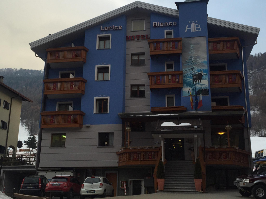 Hotel Larice bianco主图
