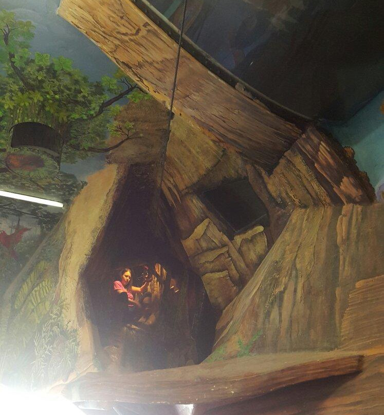 Albany Indoor Rockgym-奥尔巴尼必去景点