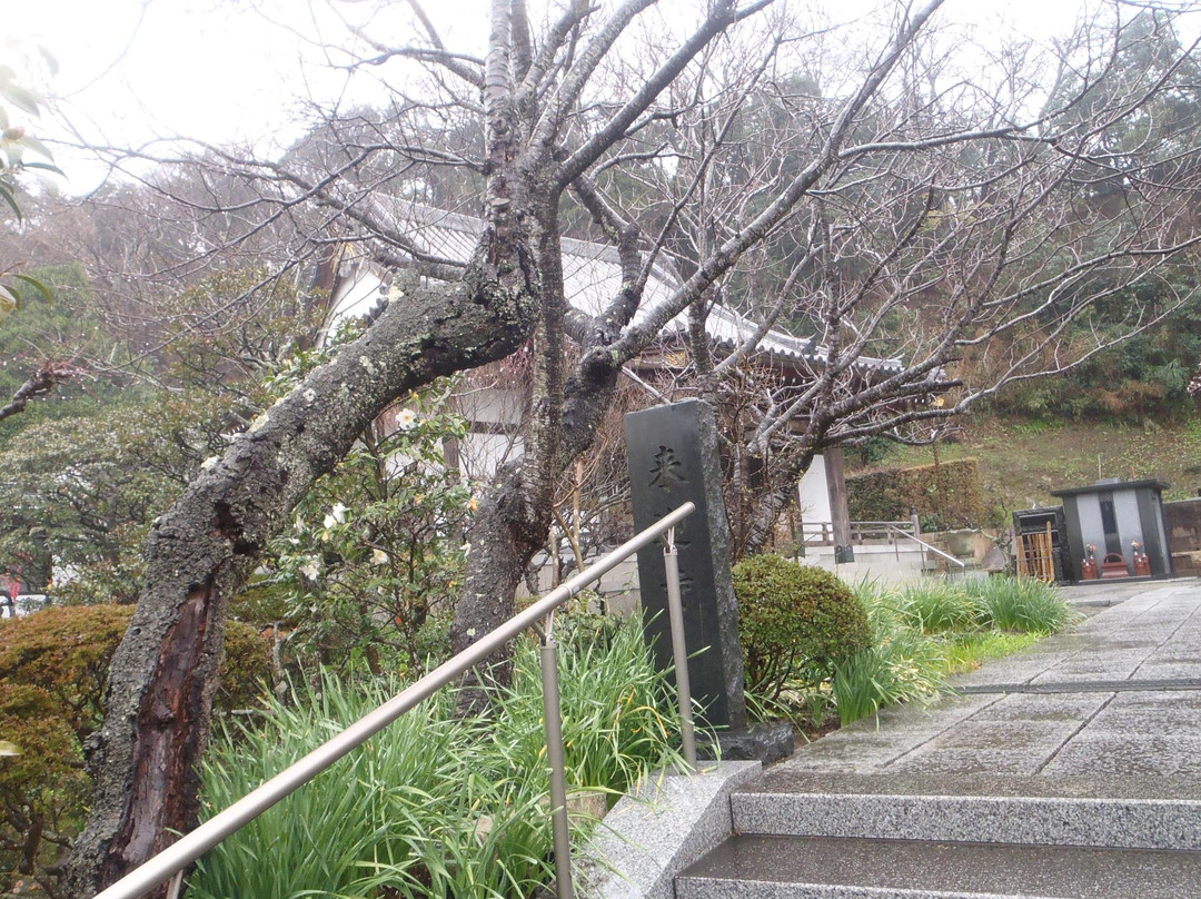 Raigoji Temple-镰仓市必去景点