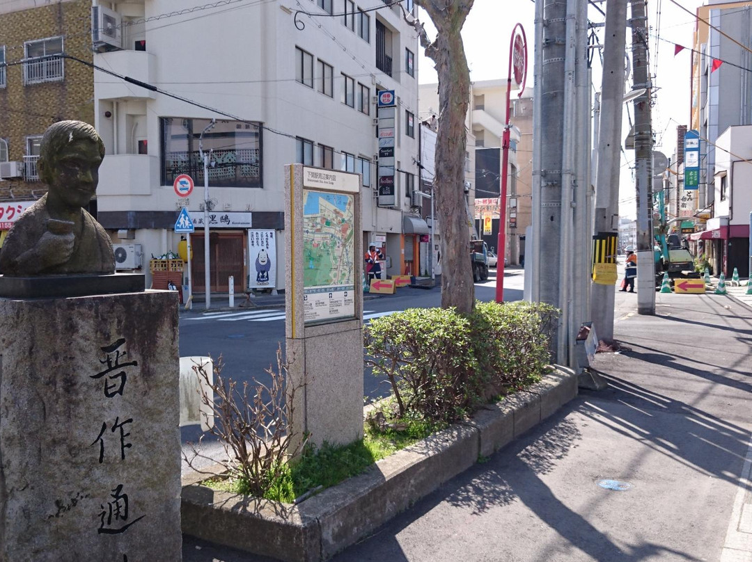 Shinsaku Street景点图片