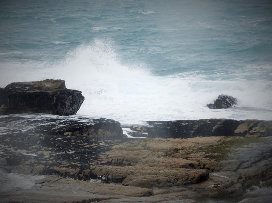 Walsh Taxi-基拉尼必去景点