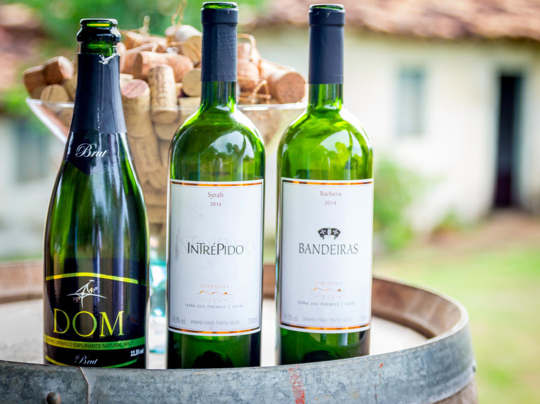 Alexania旅游景点-Pireneus Vinhos e Vinhedos