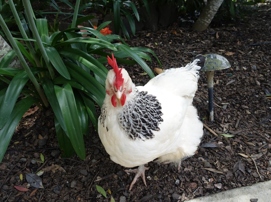 Winston Cottage Bed & Breakfast主图