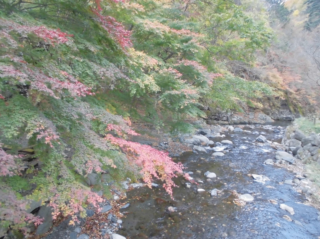 Konaka Falls景点图片