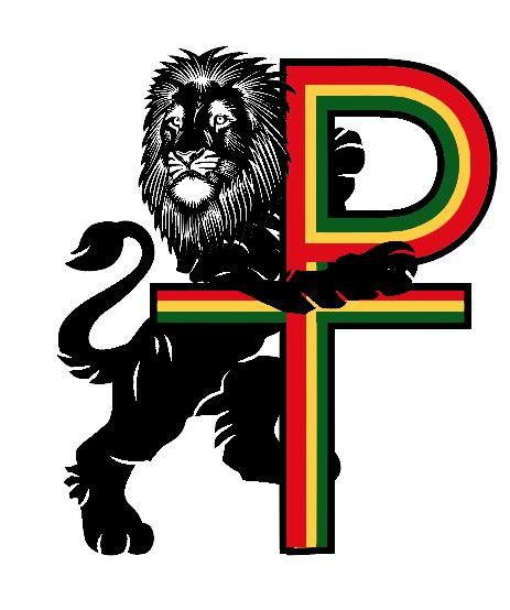 Island Vibz-克利尔沃特必去景点