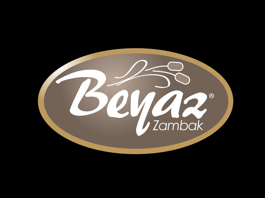Kutahya Province餐馆和美食-Beyazzambak