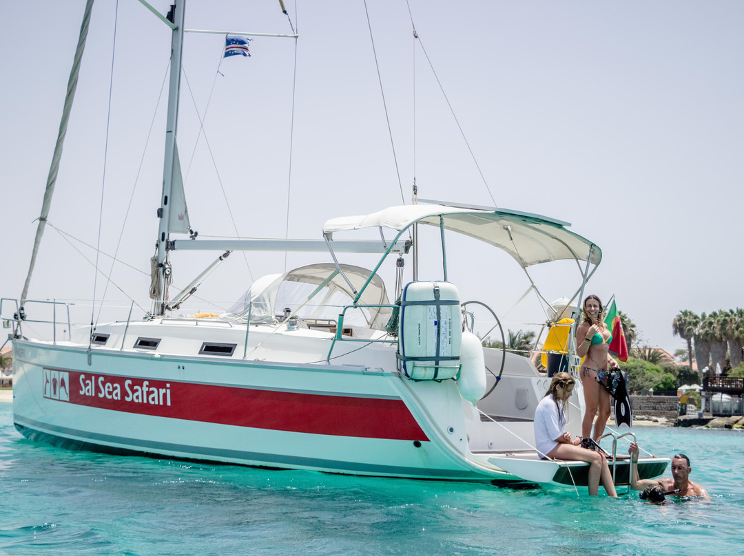 Sal Sea Safari-圣塔玛丽亚必去景点