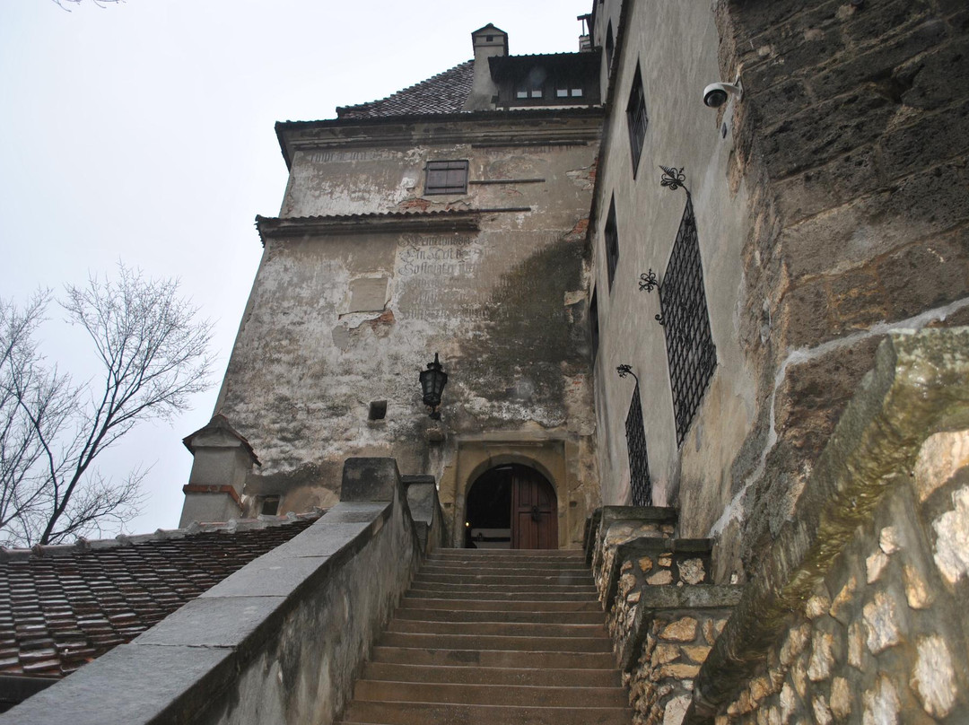 Museum Medieval Bran景点图片