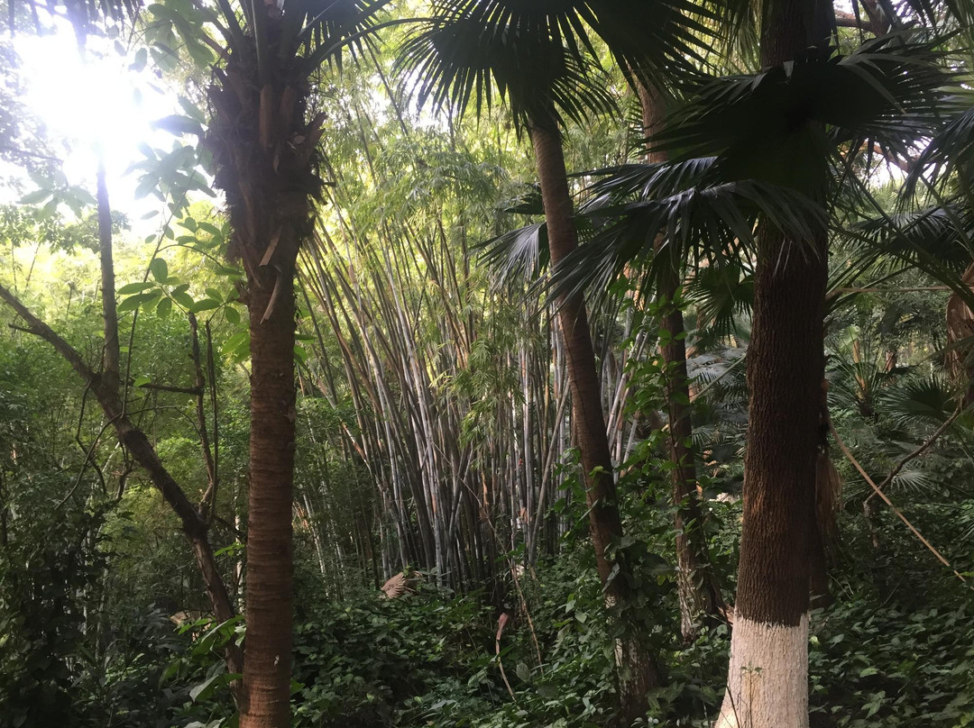 中山阜峰文塔-中山市必去景点