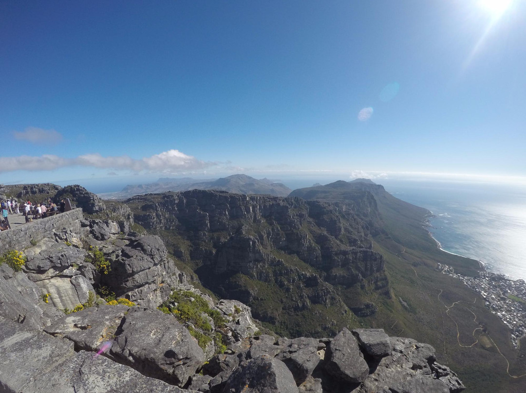 Taste the Cape Travel & Tours - Day Tours-开普敦中心区必去景点