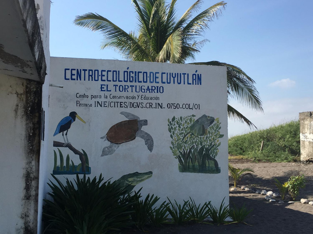 El Tortugugario-Cuyutlan必去景点