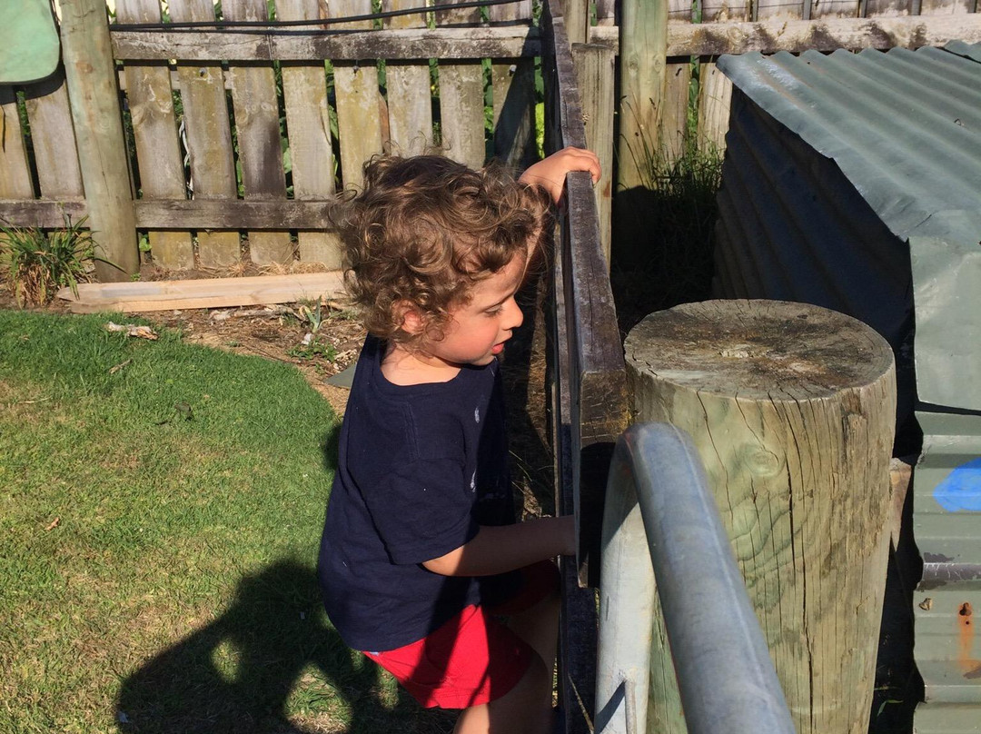 Willowbark Ranch B&B主图