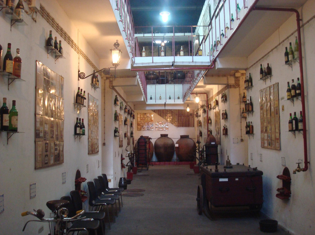 Museu Do Vinho De Alcobaca景点图片