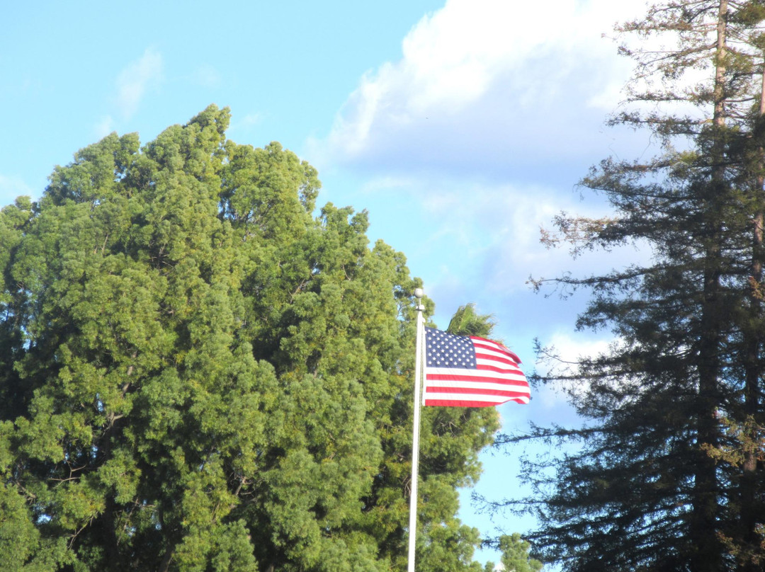 Serra Park-森尼韦尔必去景点