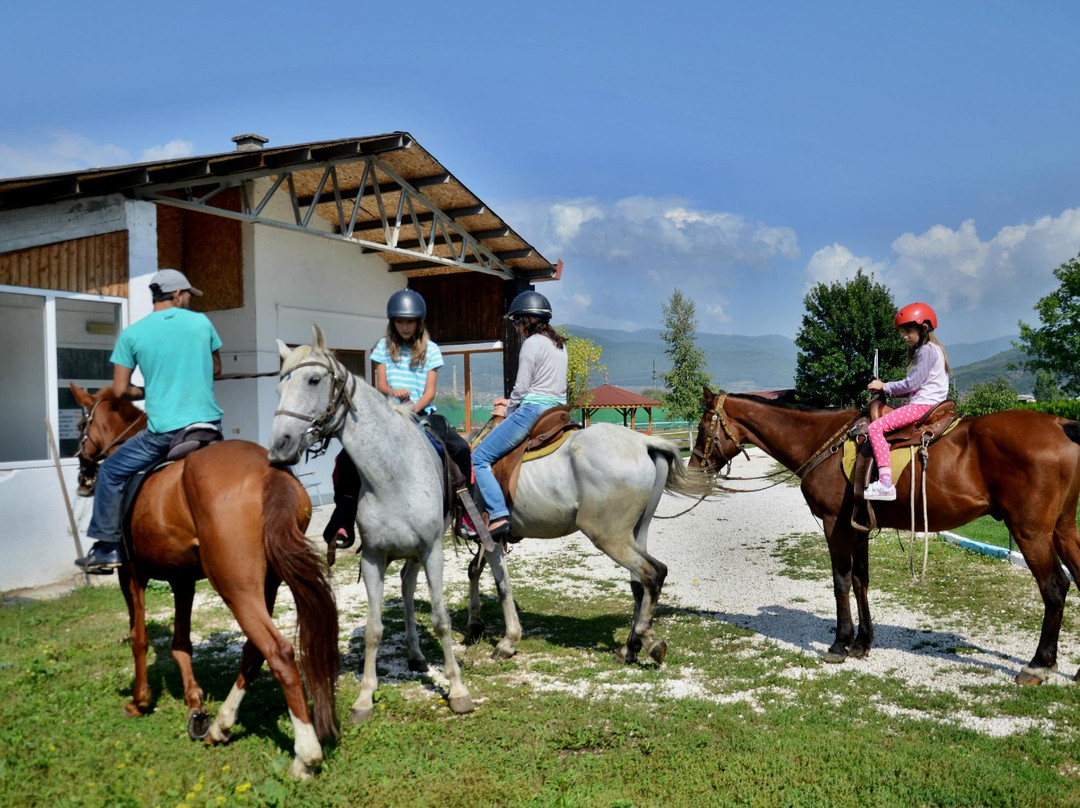 Equestrian Center Sivek景点图片