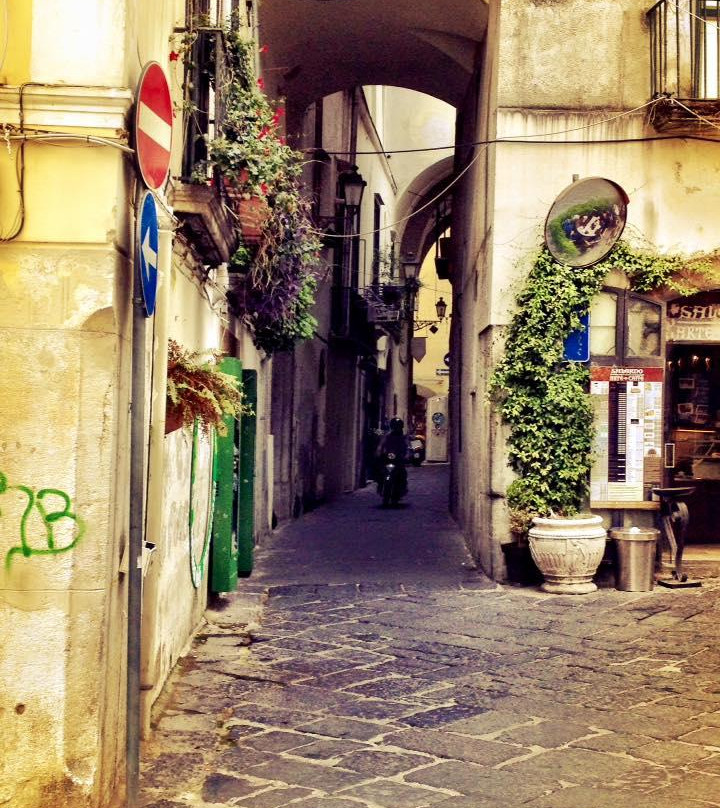 Accademia Italiana - Day Tour-萨勒诺必去景点