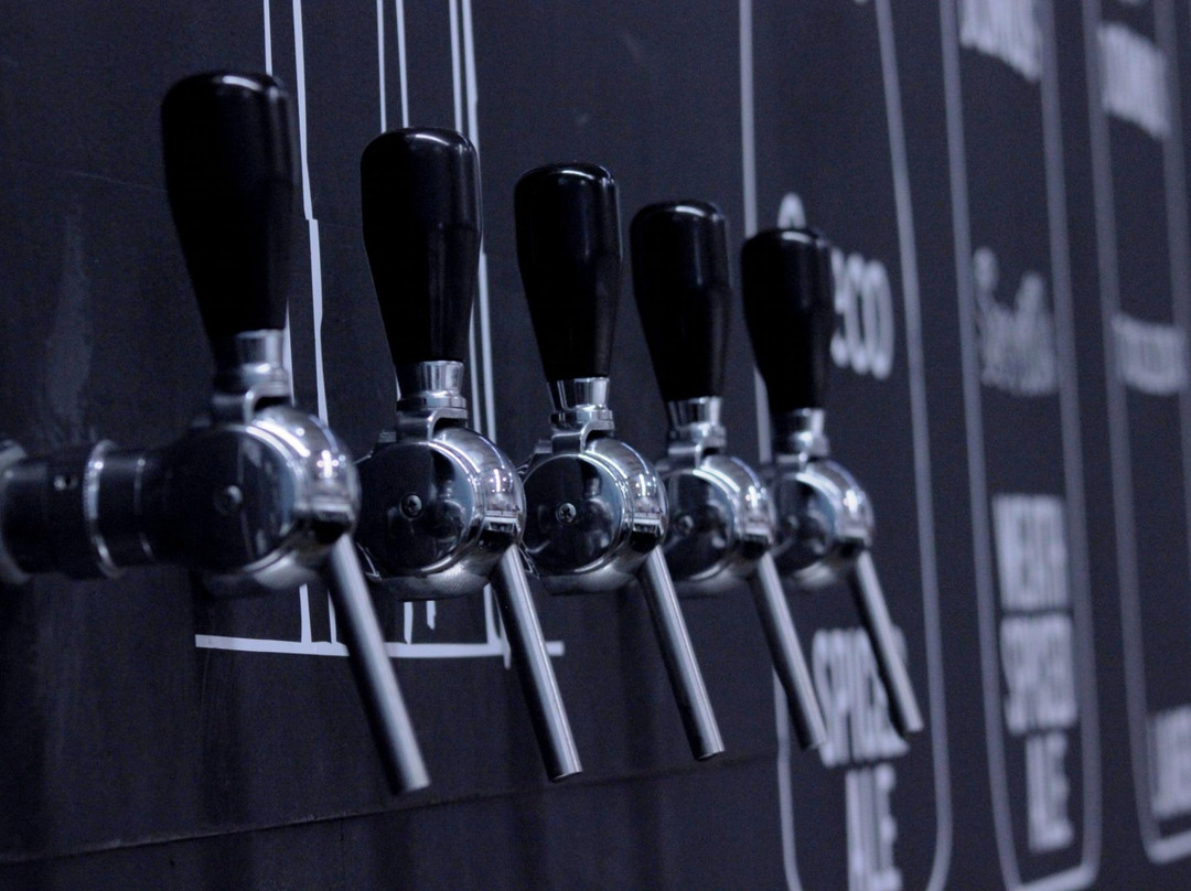 Cerveza Domus景点图片