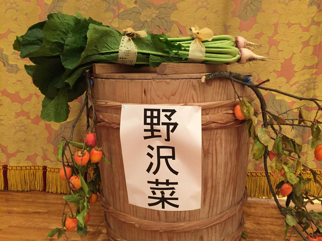 Nozawa Onsen Spa Arena-野泽温泉村必去景点