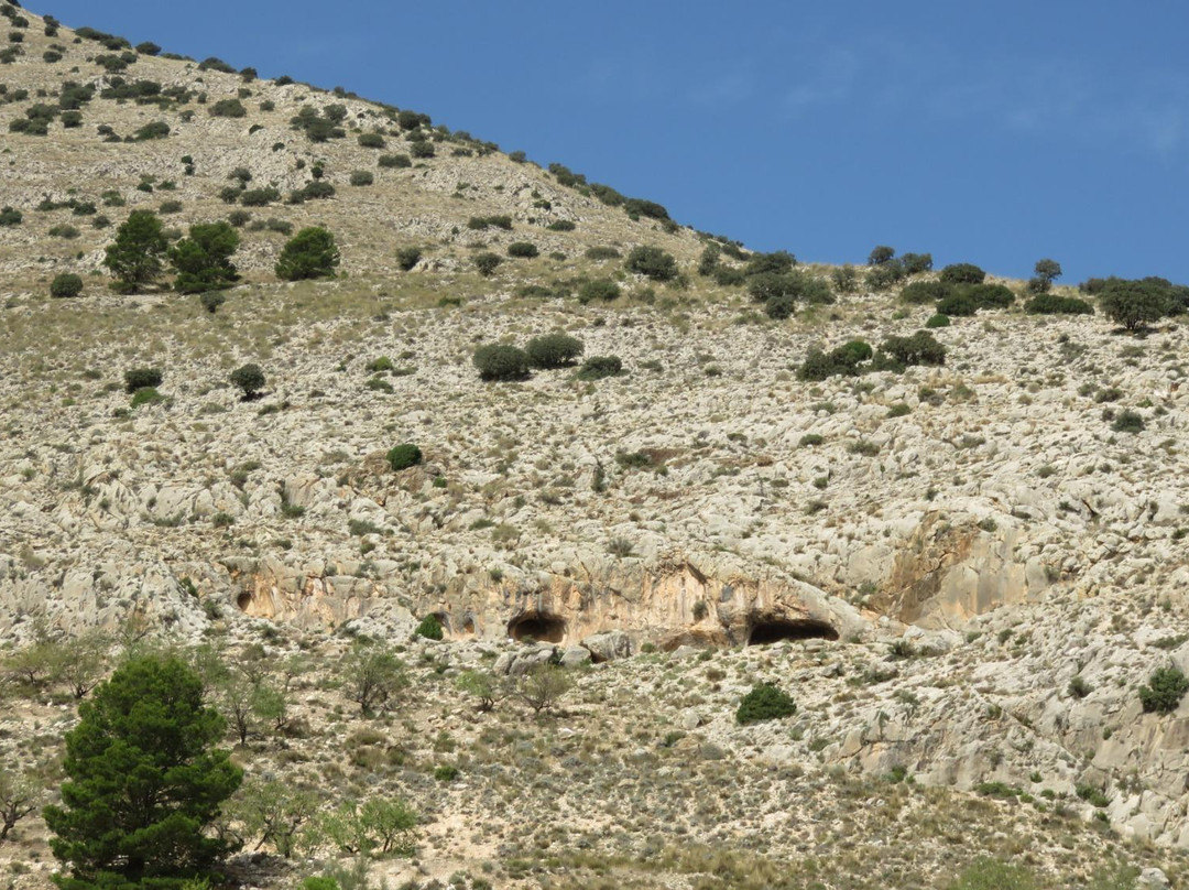 Cuevas de Los Letreros景点图片