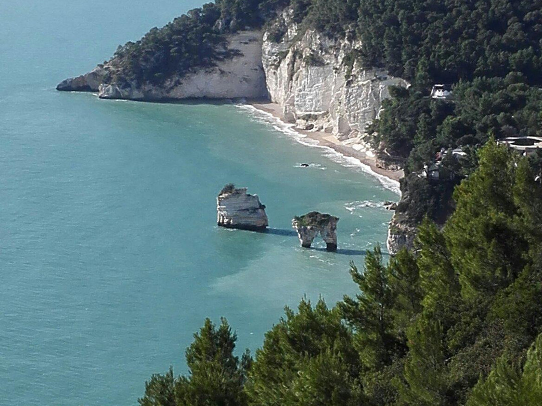 Spiaggia di Vignanotica景点图片