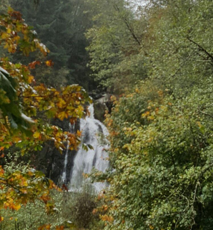 Young River Falls-阿斯托里亚必去景点