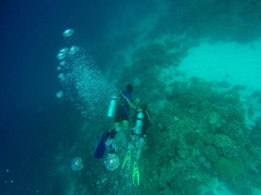 Asdu Diving Center-阿斯杜太阳岛必去景点