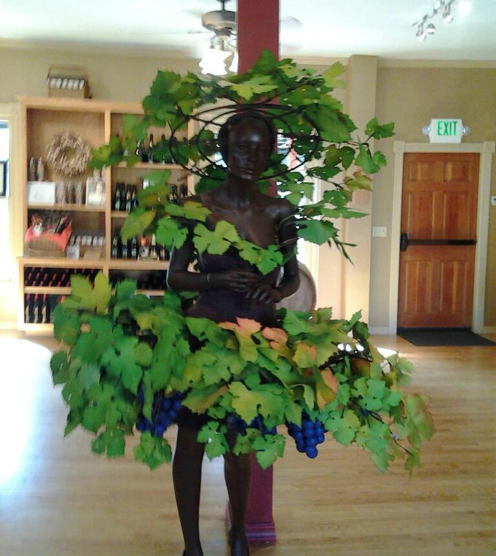 Stacy's Wine Tours景点图片