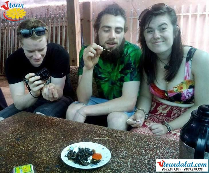 VTour Da Lat - Day tour-Lam Dong必去景点