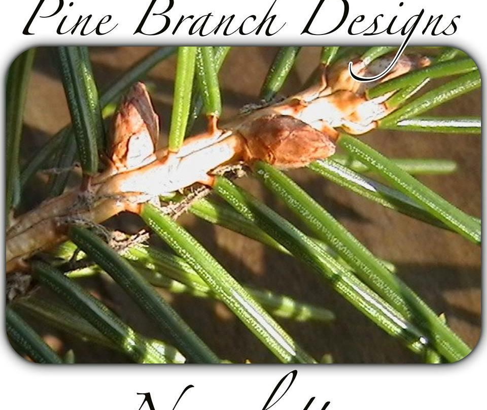 Pine Branch Designs-Murphy必去景点