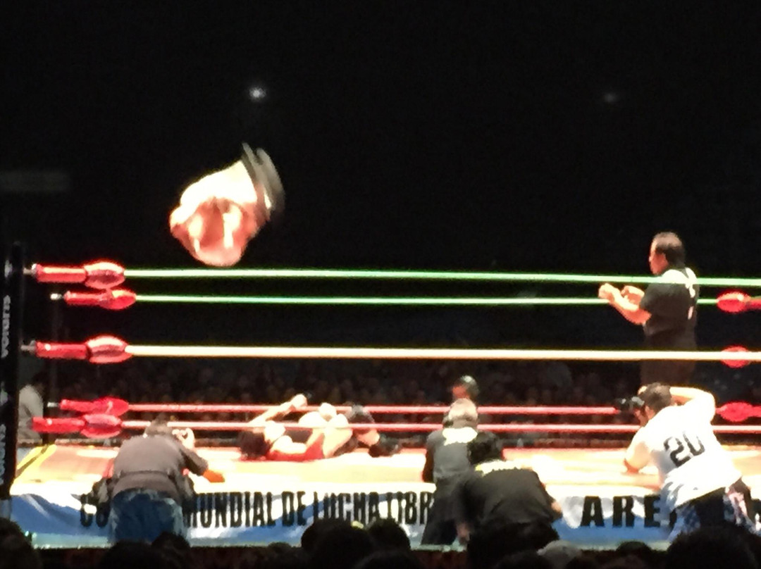 Arena México-墨西哥城必去景点