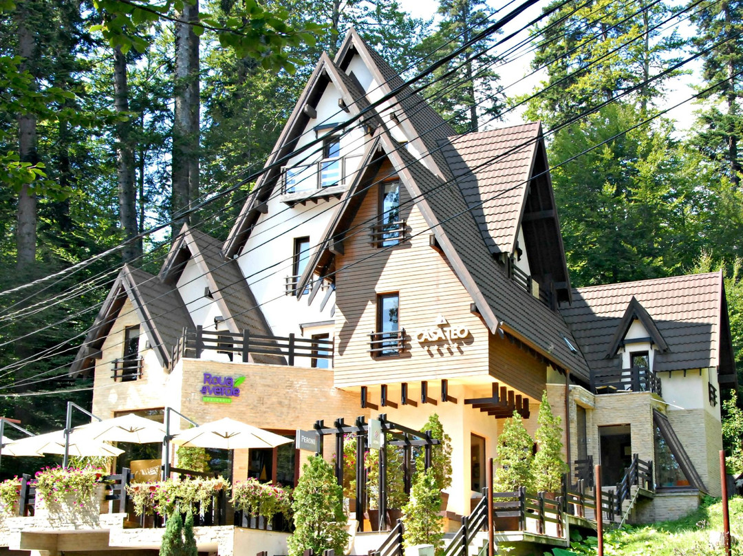 Casa Teo Sinaia