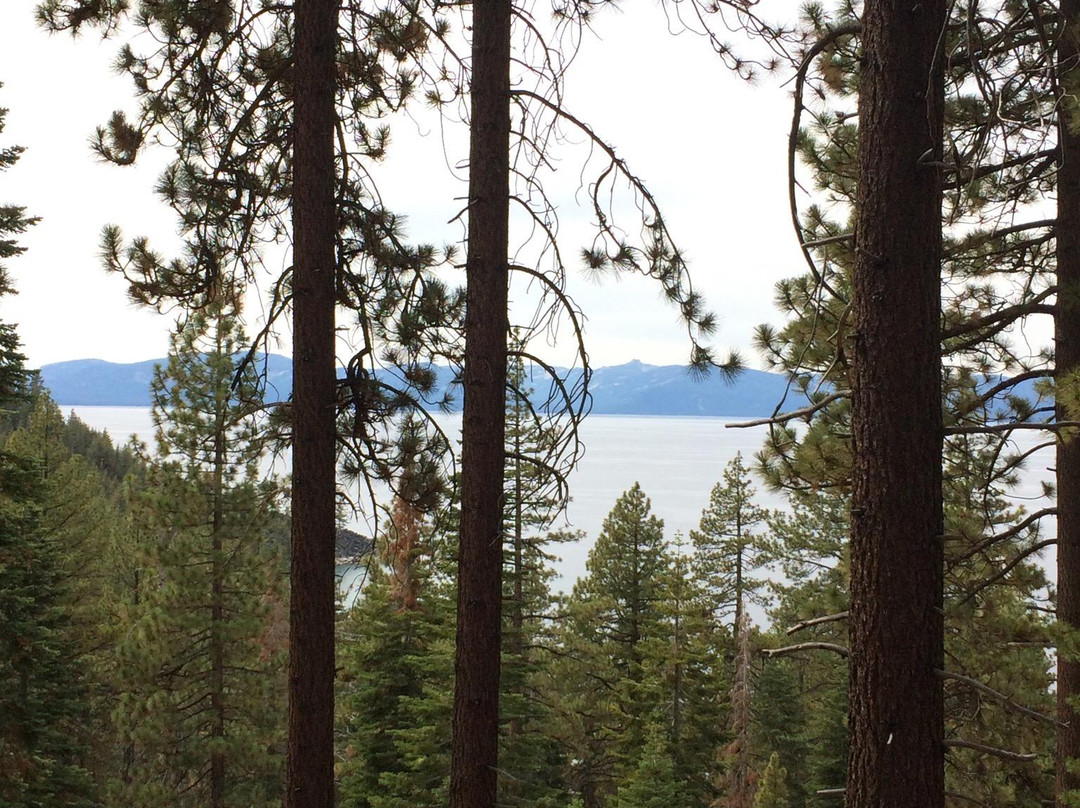 Skunk Harbor-卡森城必去景点