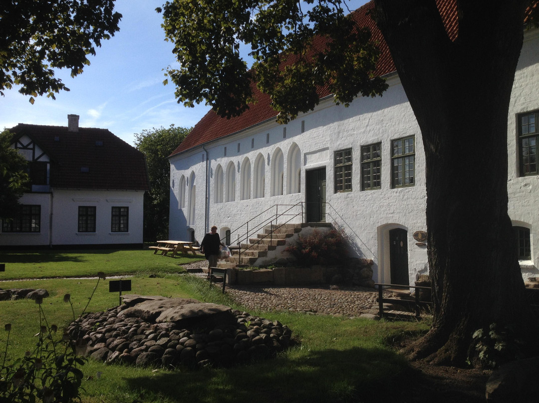 Dueholm Monastery景点图片