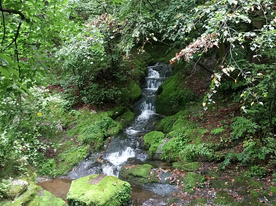 Geomnyongso Pond-太白市必去景点