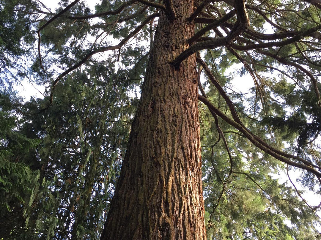 Arboretum Poortbulten-De Lutte必去景点