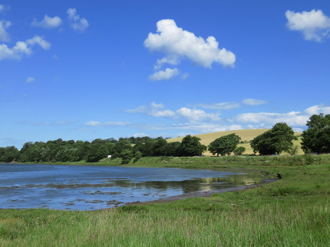 Budle Bay-Waren Mill必去景点