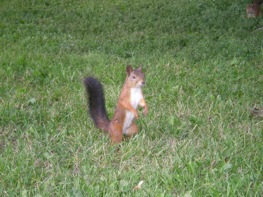 Kupittaa Park-土尔库必去景点