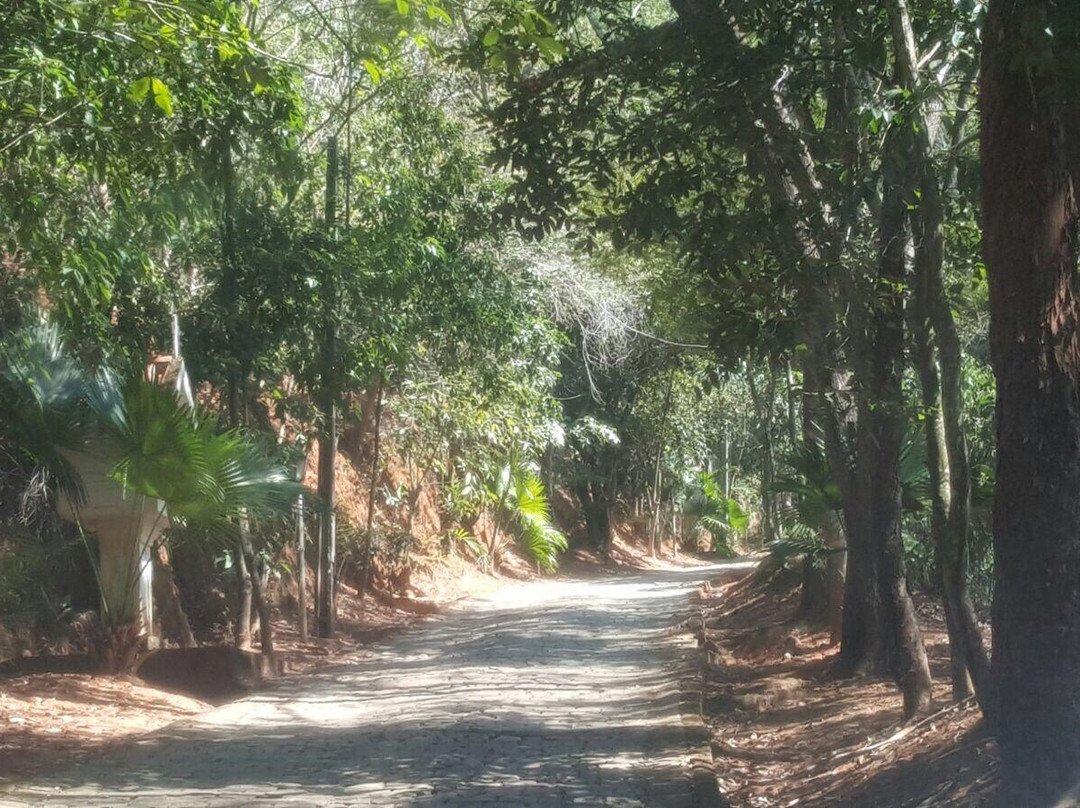 Miracema旅游攻略图片