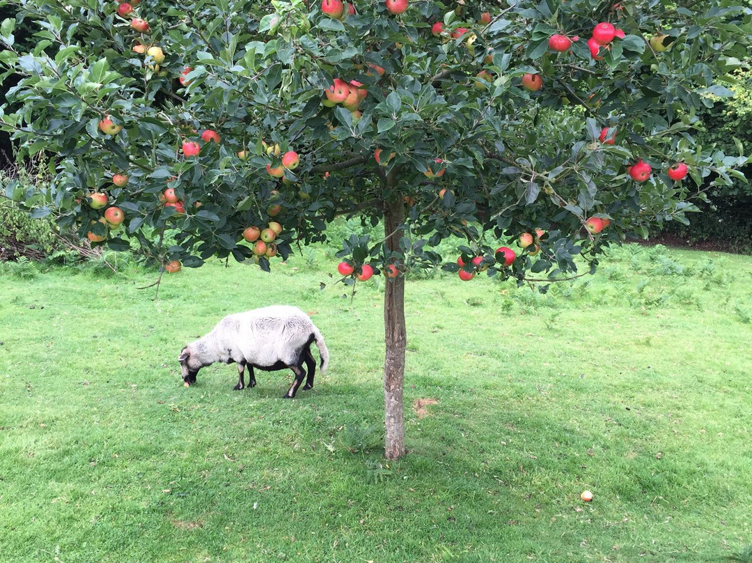 Parva Farm Vineyard景点图片