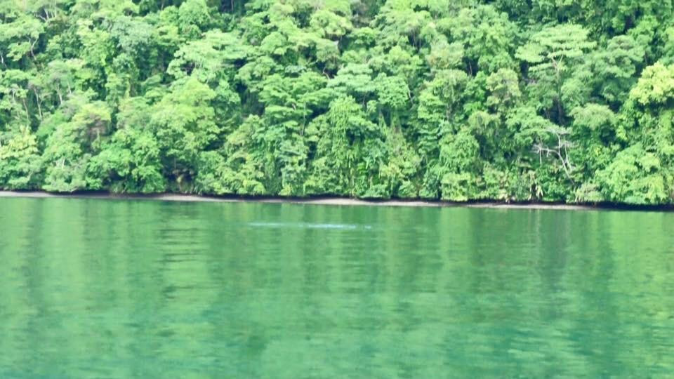 Parque Nacional Natural Utria-Nuqui必去景点