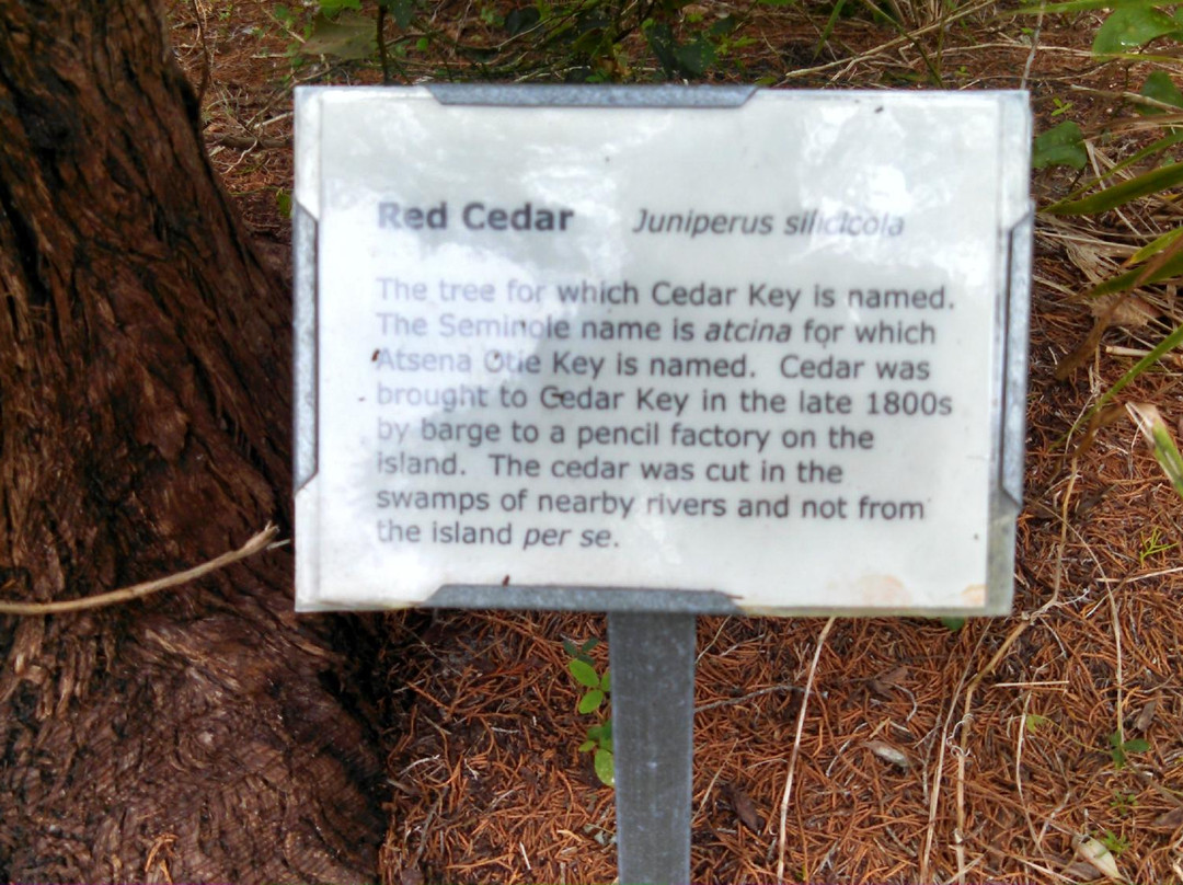 Cedar Key Railroad Trestle Nature Trail-锡达礁必去景点